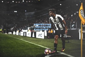 彩经网官网首页-母狮效应重塑足球版图，新英格兰模式如何滋养女足全生态繁荣