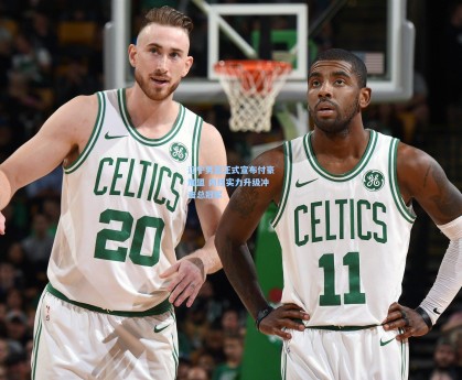 彩经网_辽宁男篮正式宣布付豪加盟 内线实力升级冲击总冠军